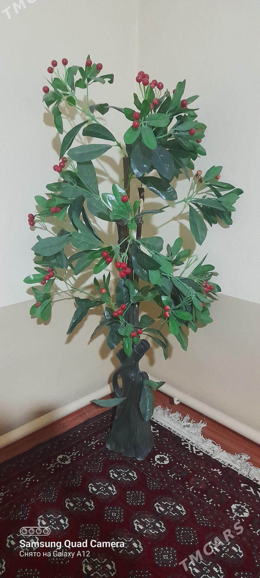 oyde goyulyan bag - Гарадамак Шор - img 1