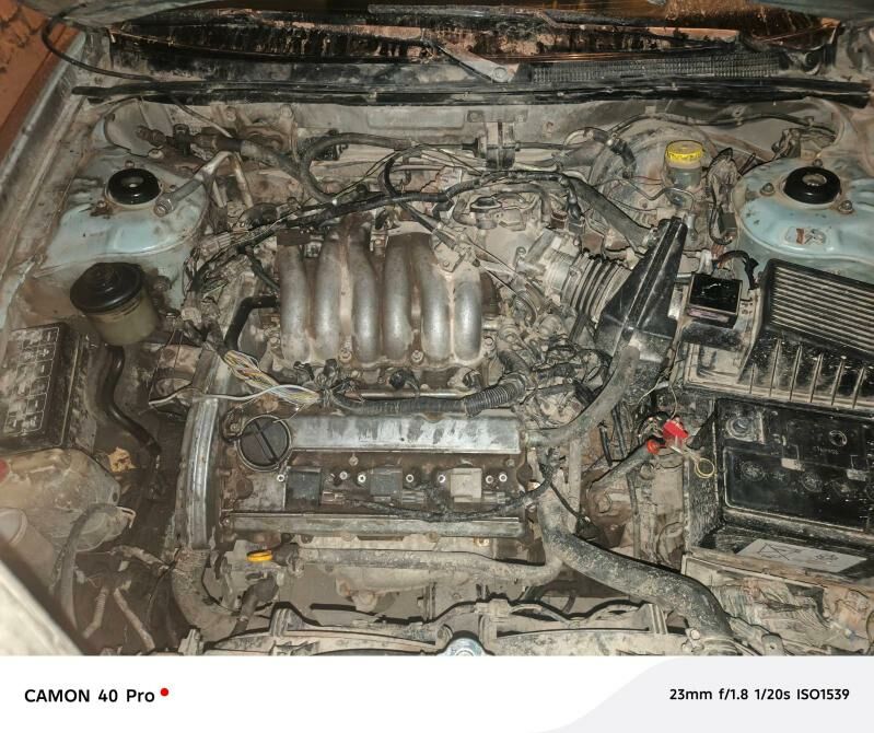 Mator Karopka - Губадаг - img 1