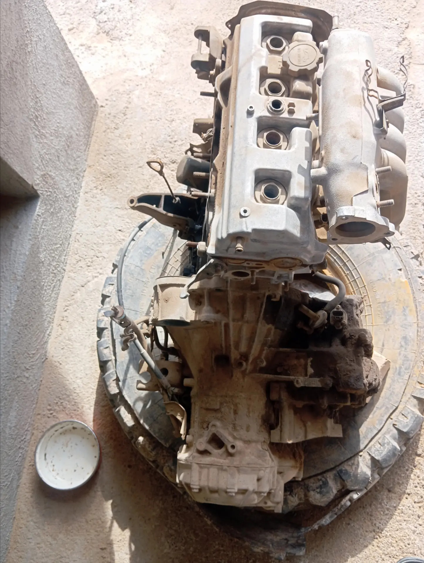 Lisicka 2.2 karopga 3 000 TMT - Türkmengala - img 1