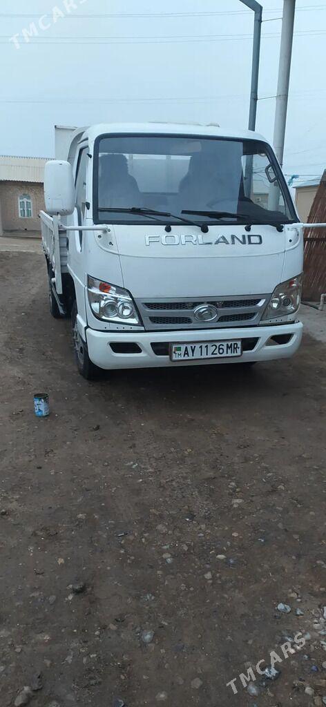 Forland H2 2013 - 115 000 TMT - Sakarçäge - img 1