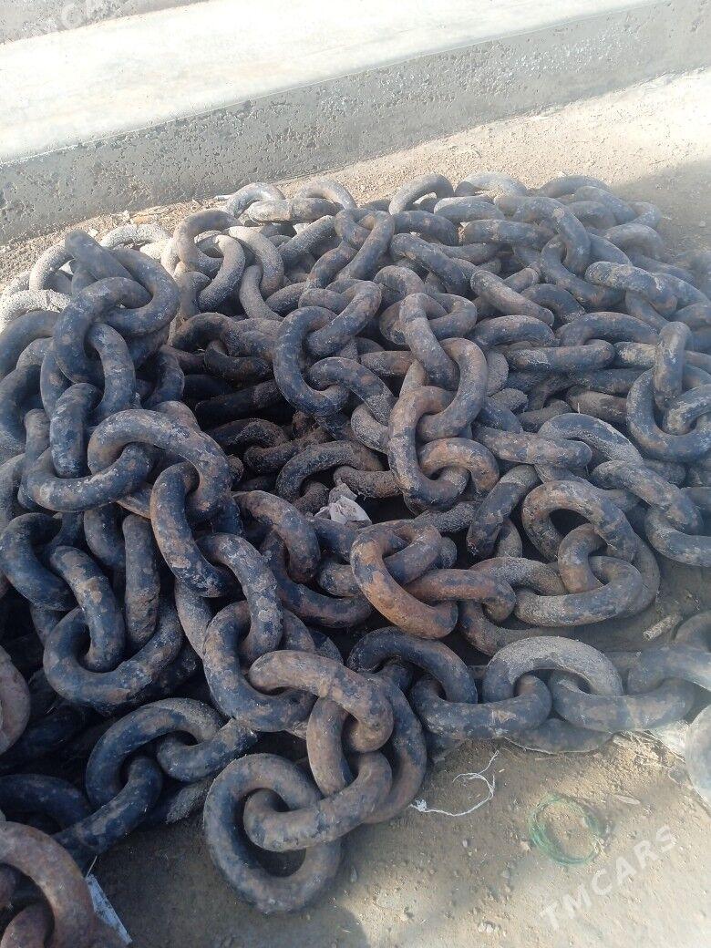 zynjyr - Sakarçäge - img 1