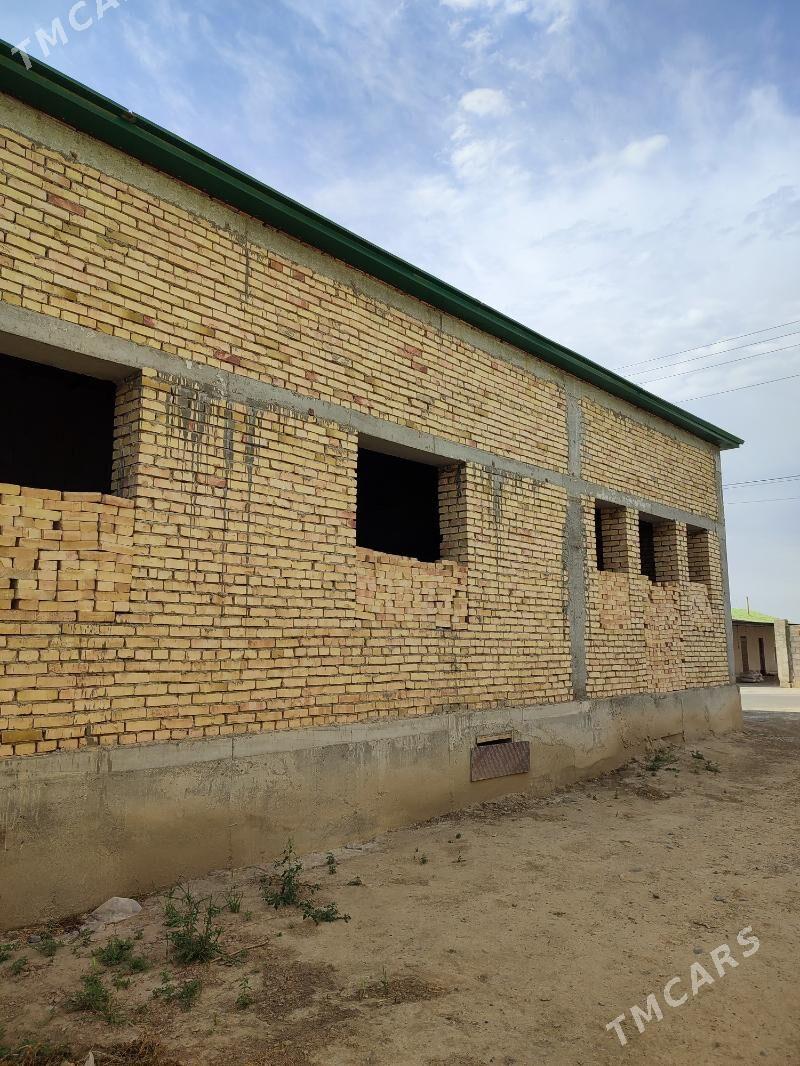 GYSSAGLY SATLYK JAÝ - Büzmeýin - img 1