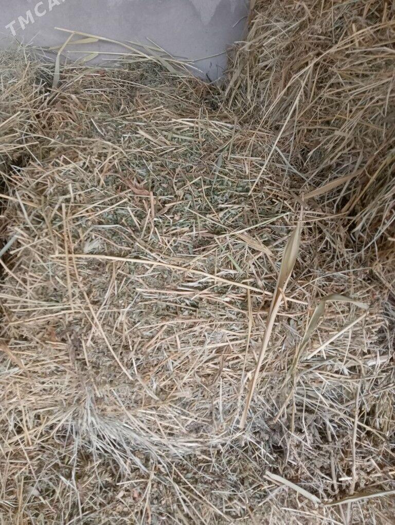 yorunja bede - Gökdepe - img 1