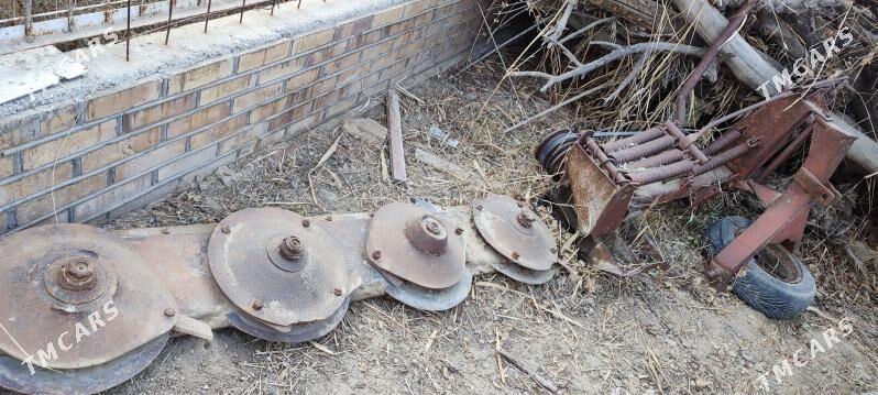 diskowoy kasylka - Sakarçäge - img 1