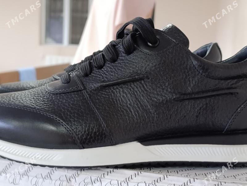 Tufli salamandra - Туркменабат - img 1