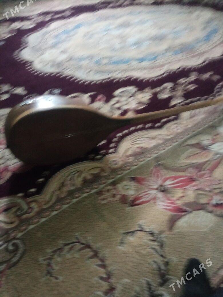 dutar - Mary - img 1