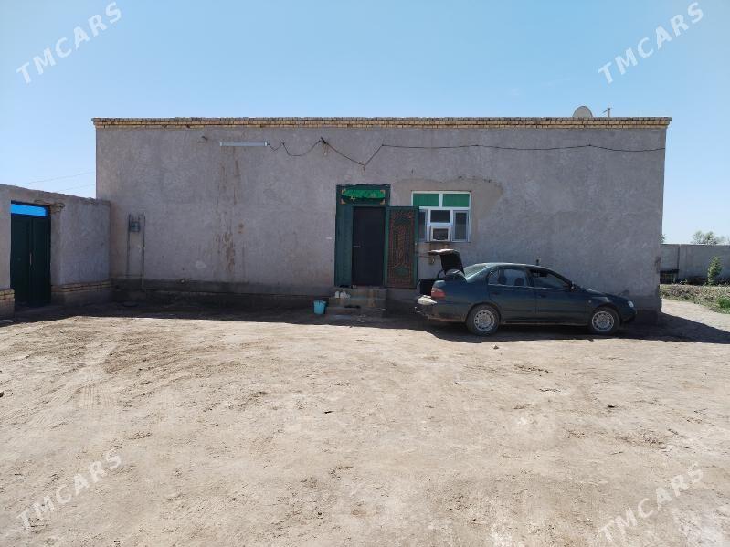 Akdepe etrap Akdepe shaheri - Akdepe - img 1