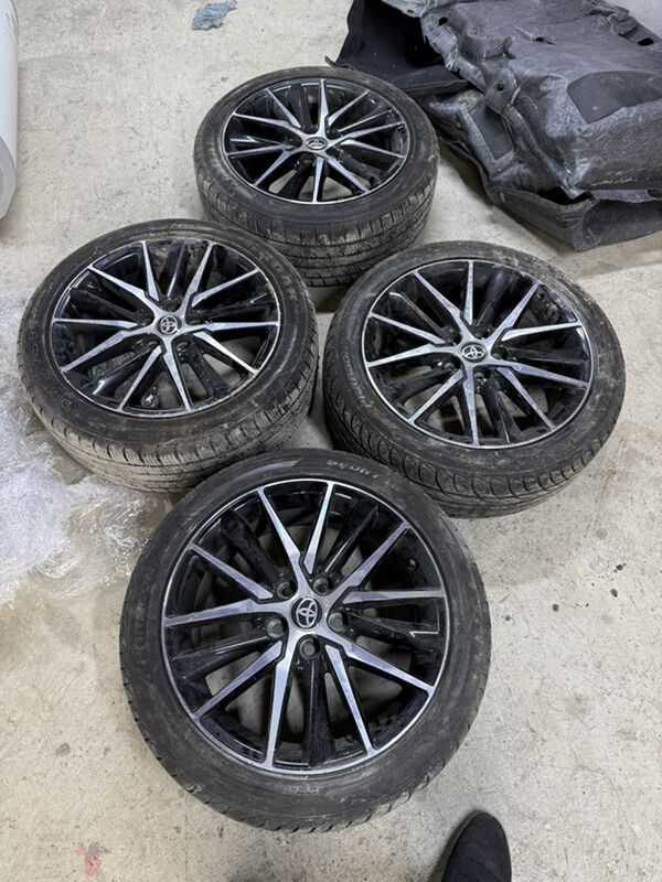 diska 10 000 TMT - Bedew - img 1