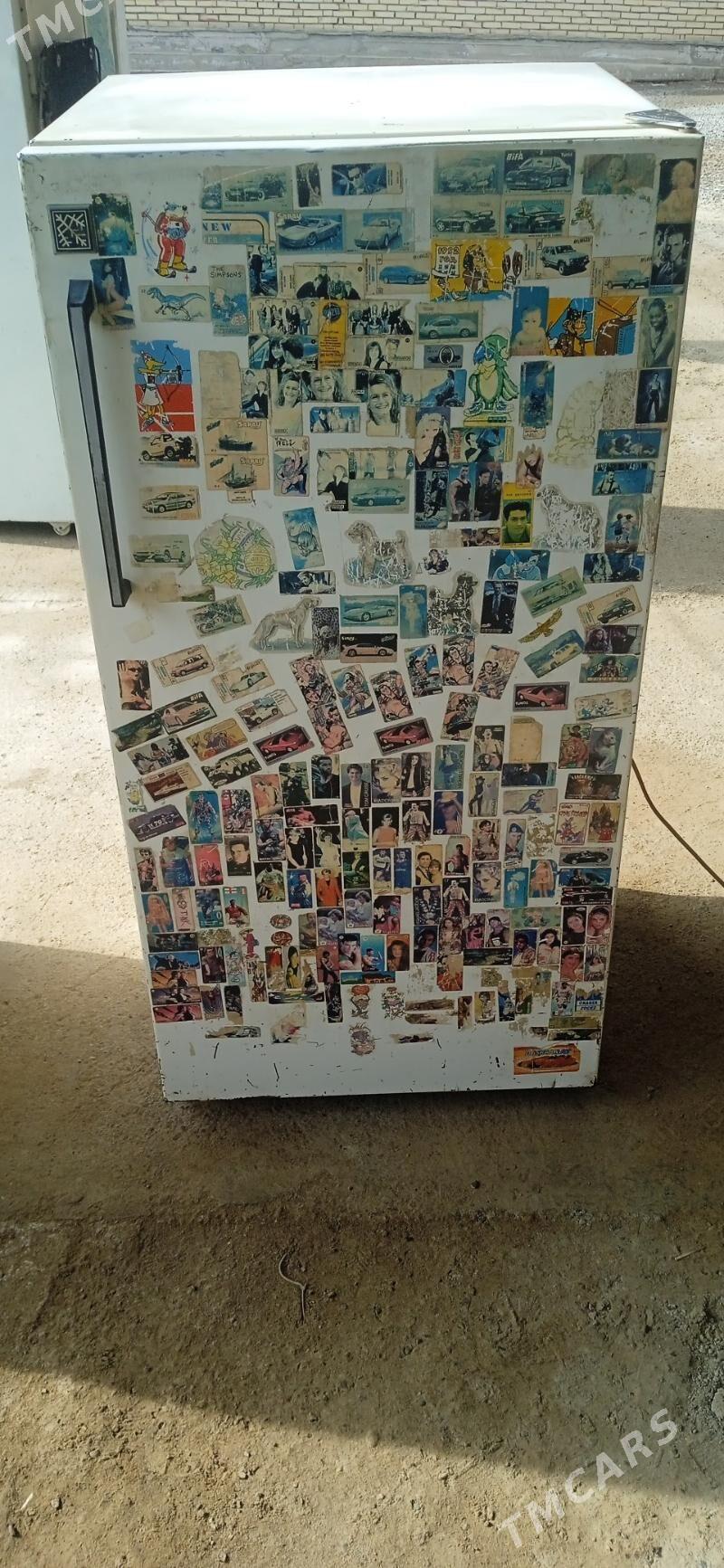 holodilnik biryusa - Mary - img 1