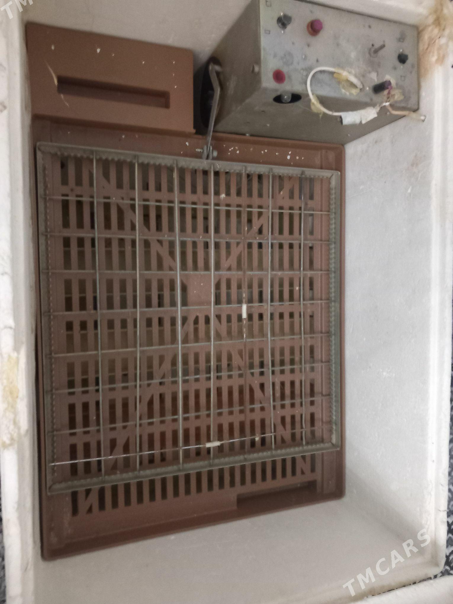 inkubator - Çoganly - img 1