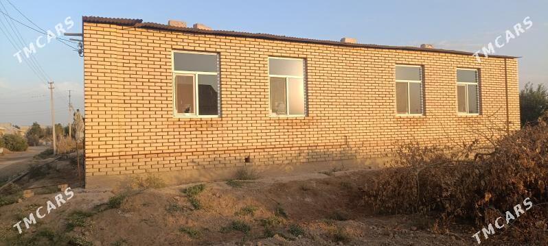 сатлык жай - Sakarçäge - img 1