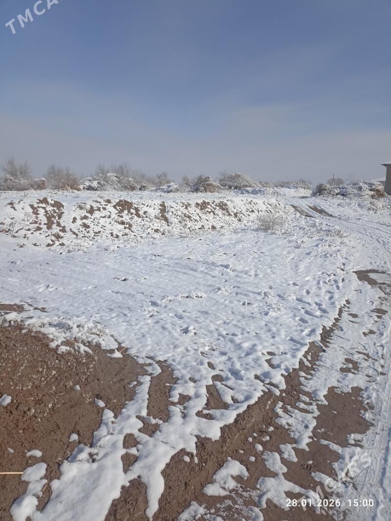 Ucasga 12 sotuk - Губадаг - img 1