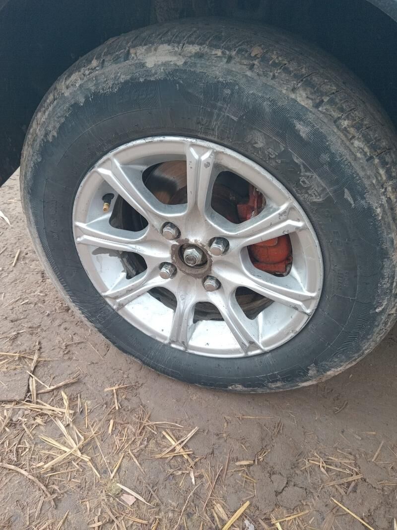 disge 1 000 TMT - Gurbansoltan Eje - img 1