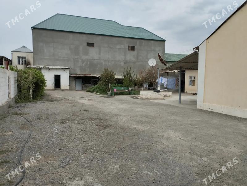 Anew plan - Änew - img 1