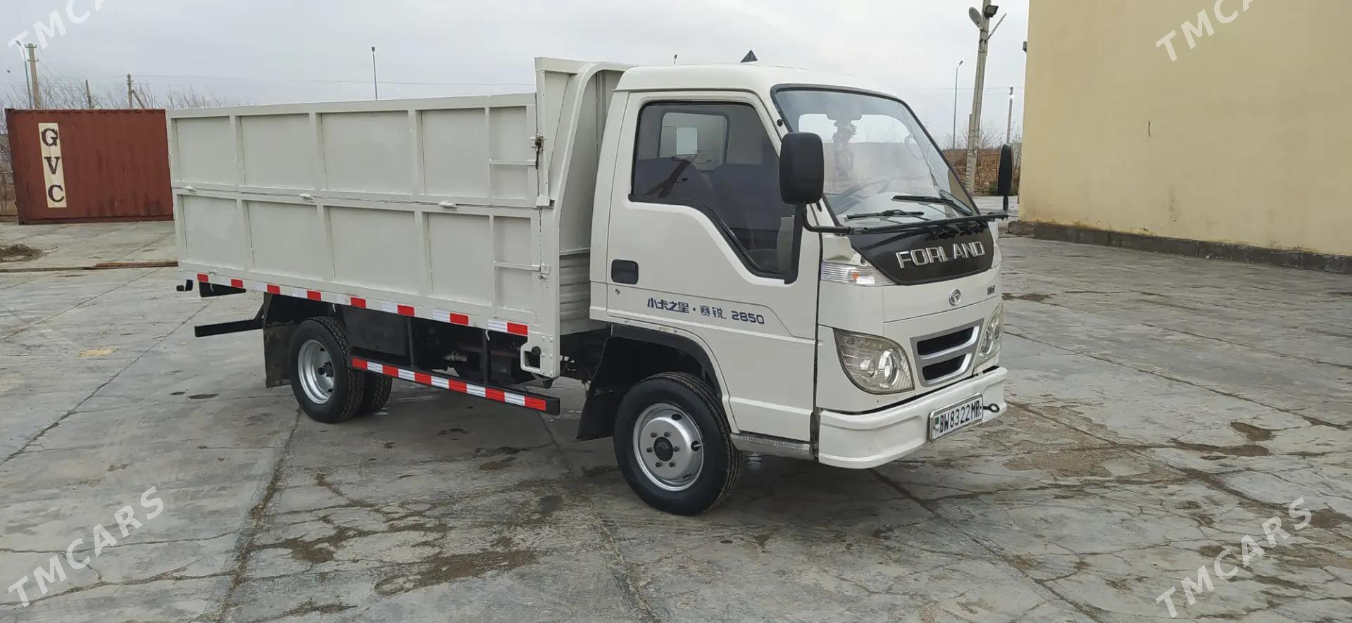 Forland H2 2010 - 78 000 TMT - Mary - img 1