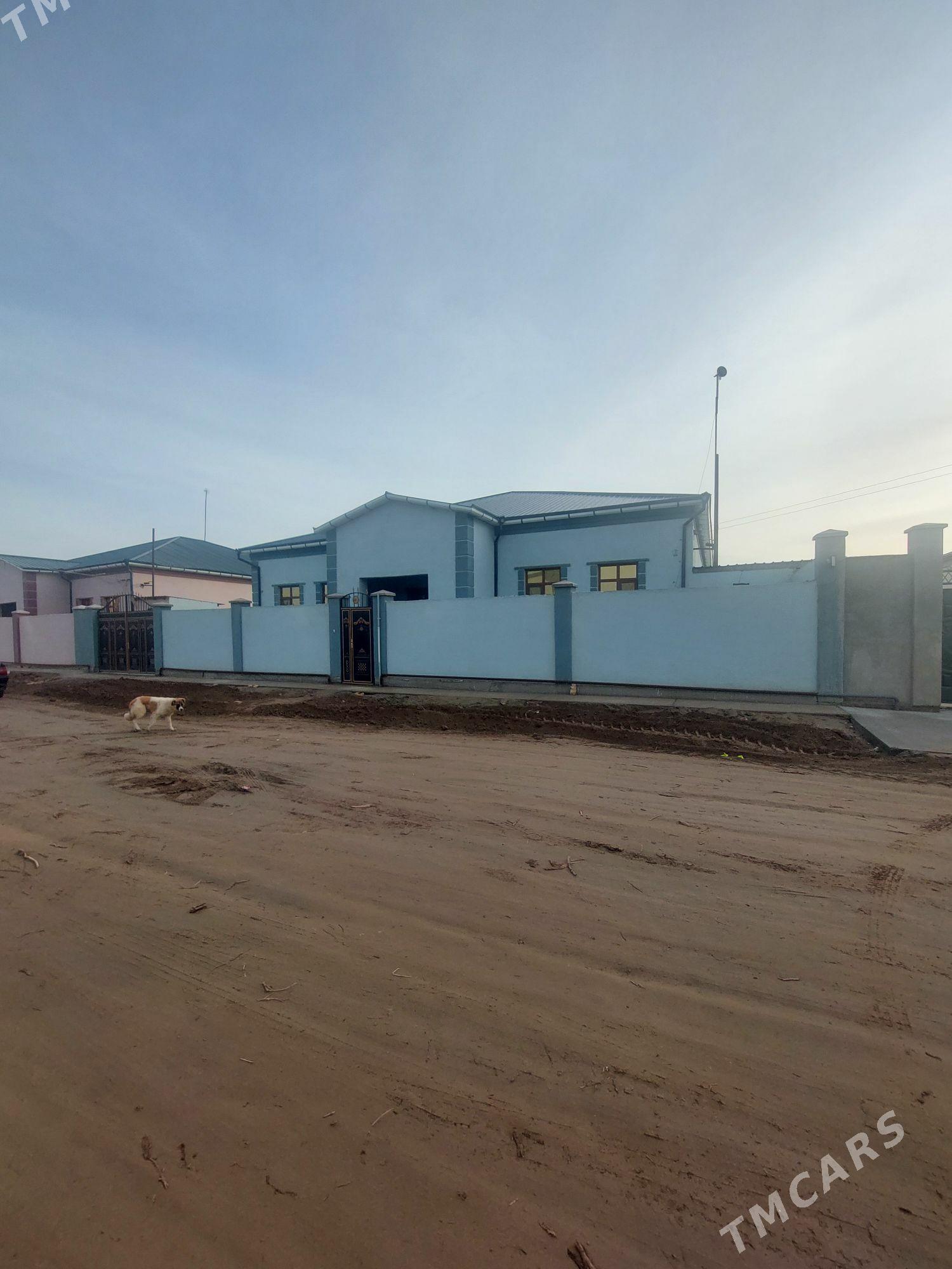 howly jaÿ - Daşoguz - img 1