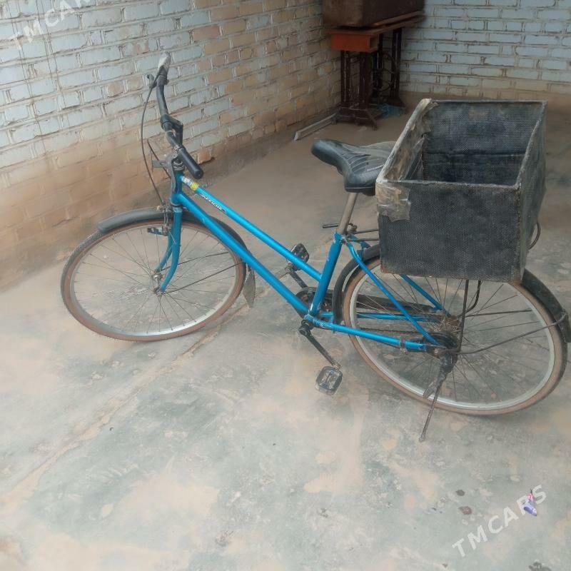 tigir 26 - Tejen - img 1