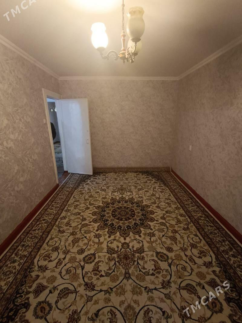 Satlyk jay - Mary - img 1