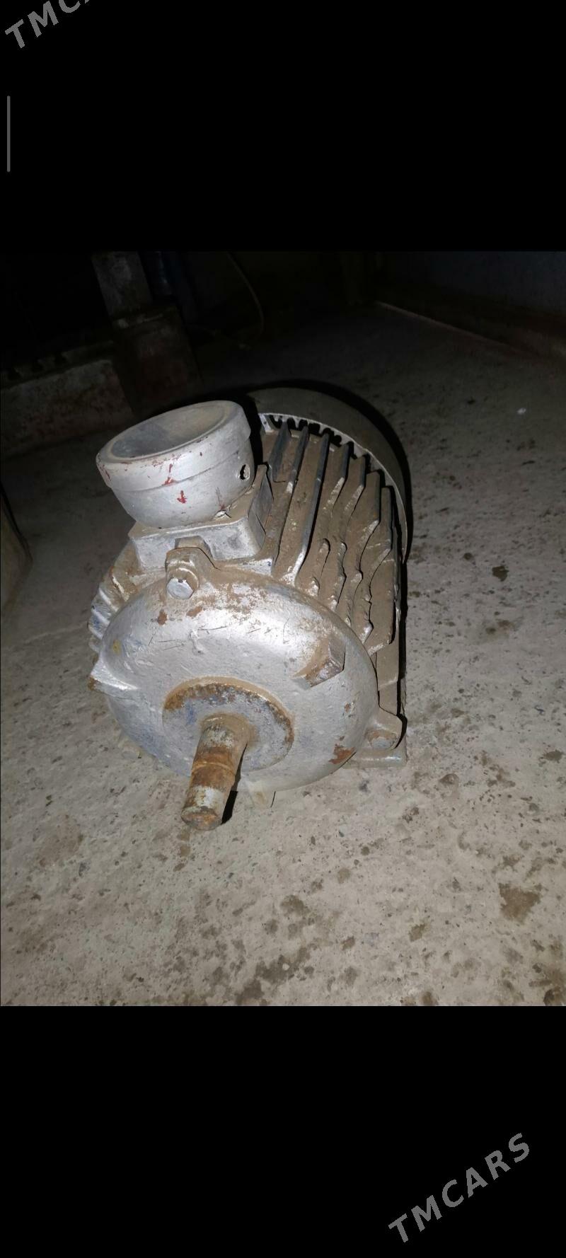 електа матор - Гурбансолтан Едже - img 1