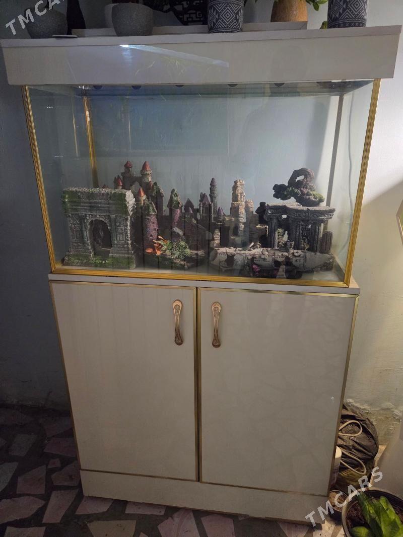 Аквариум с тумбочкой - Ашхабад - img 1