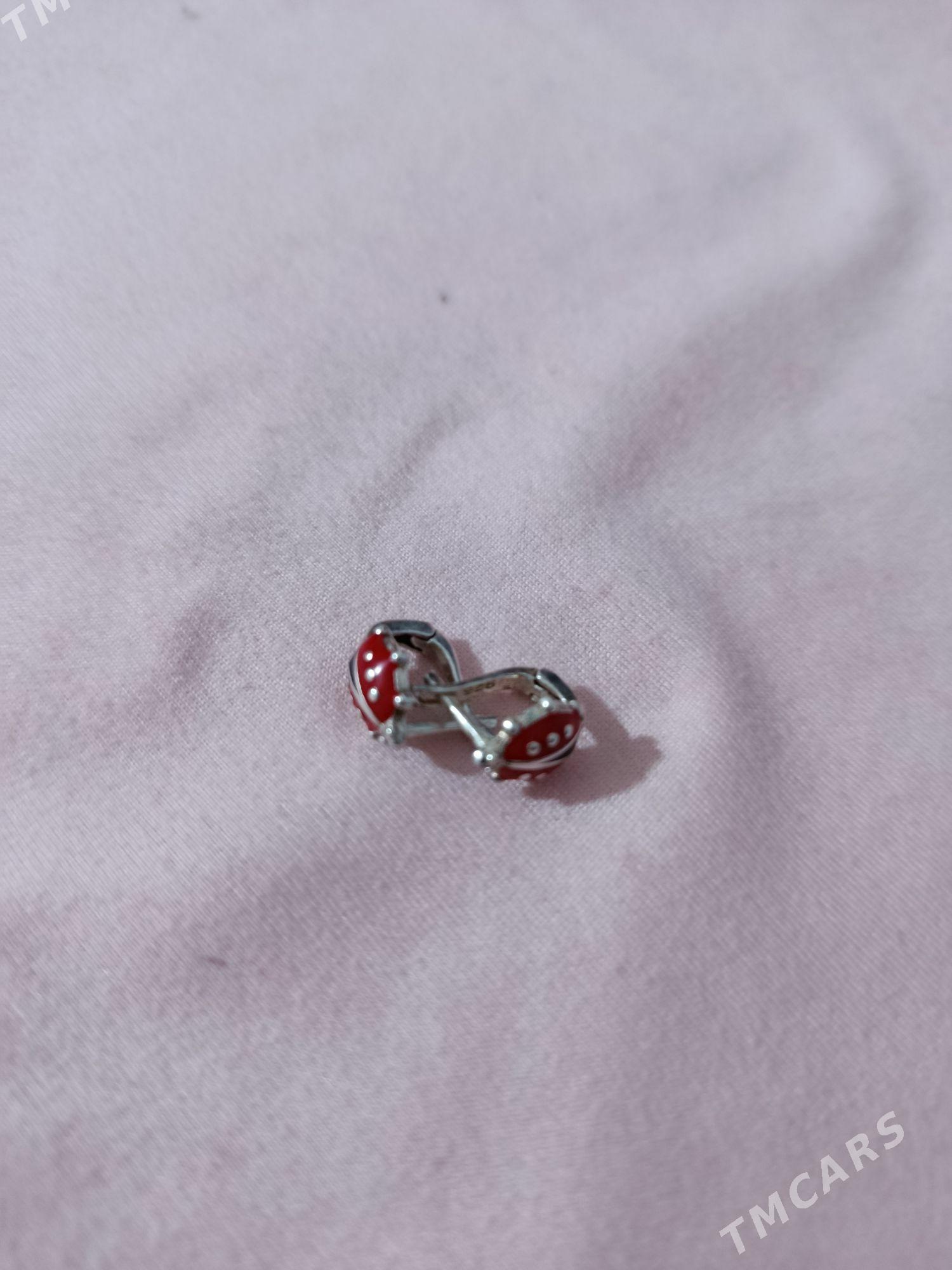 caga gulasyrga - Aşgabat - img 1