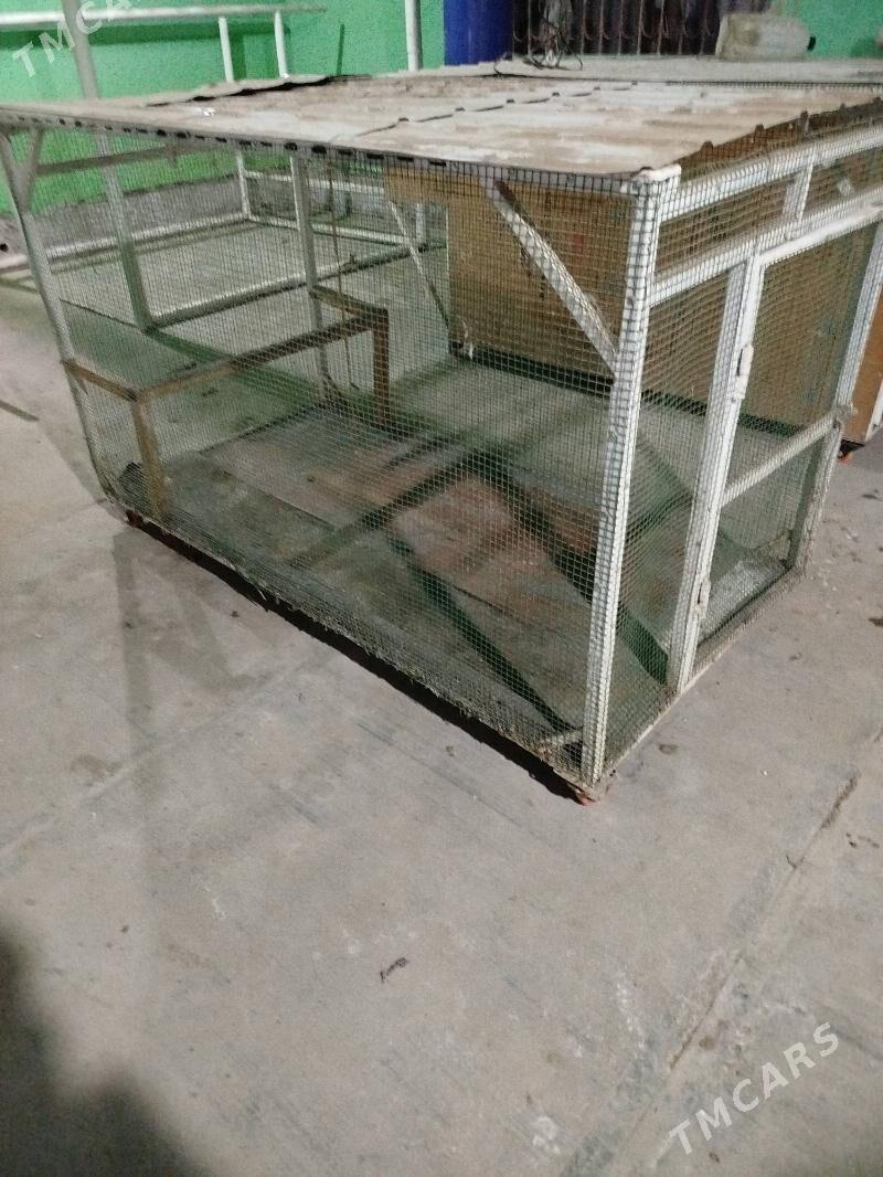 кетег - Туркменабат - img 1