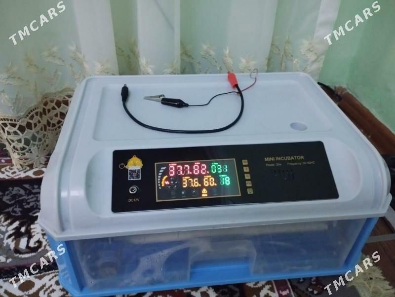 inkubator - Балканабат - img 1