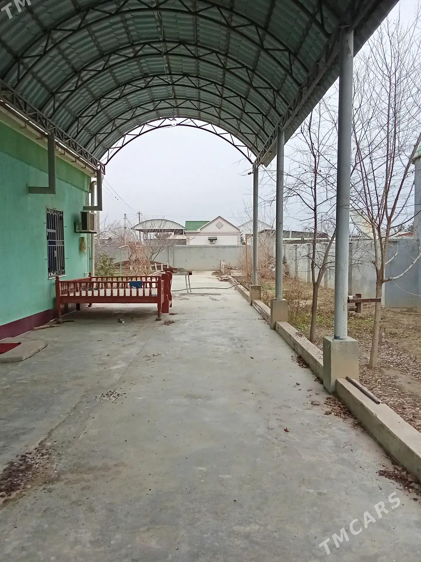 Arenda Anew - Анев - img 1