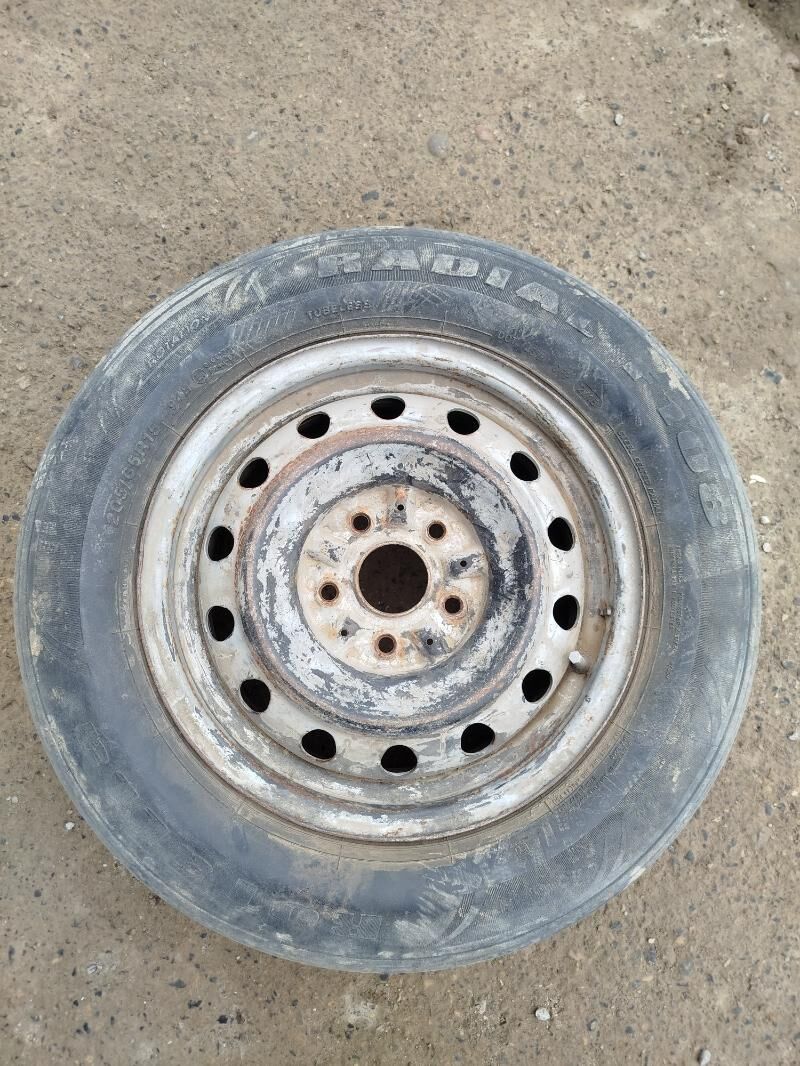 disga15 220 TMT - Mary - img 1