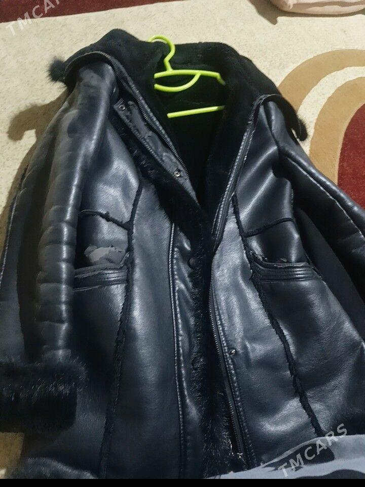 palto - Mary - img 1