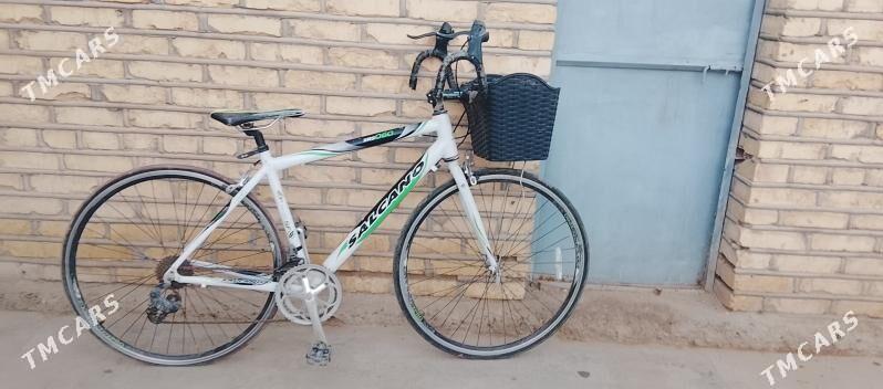 welosipet - Mary - img 1