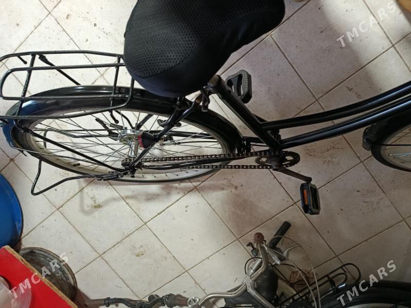 wellik - Mary - img 1