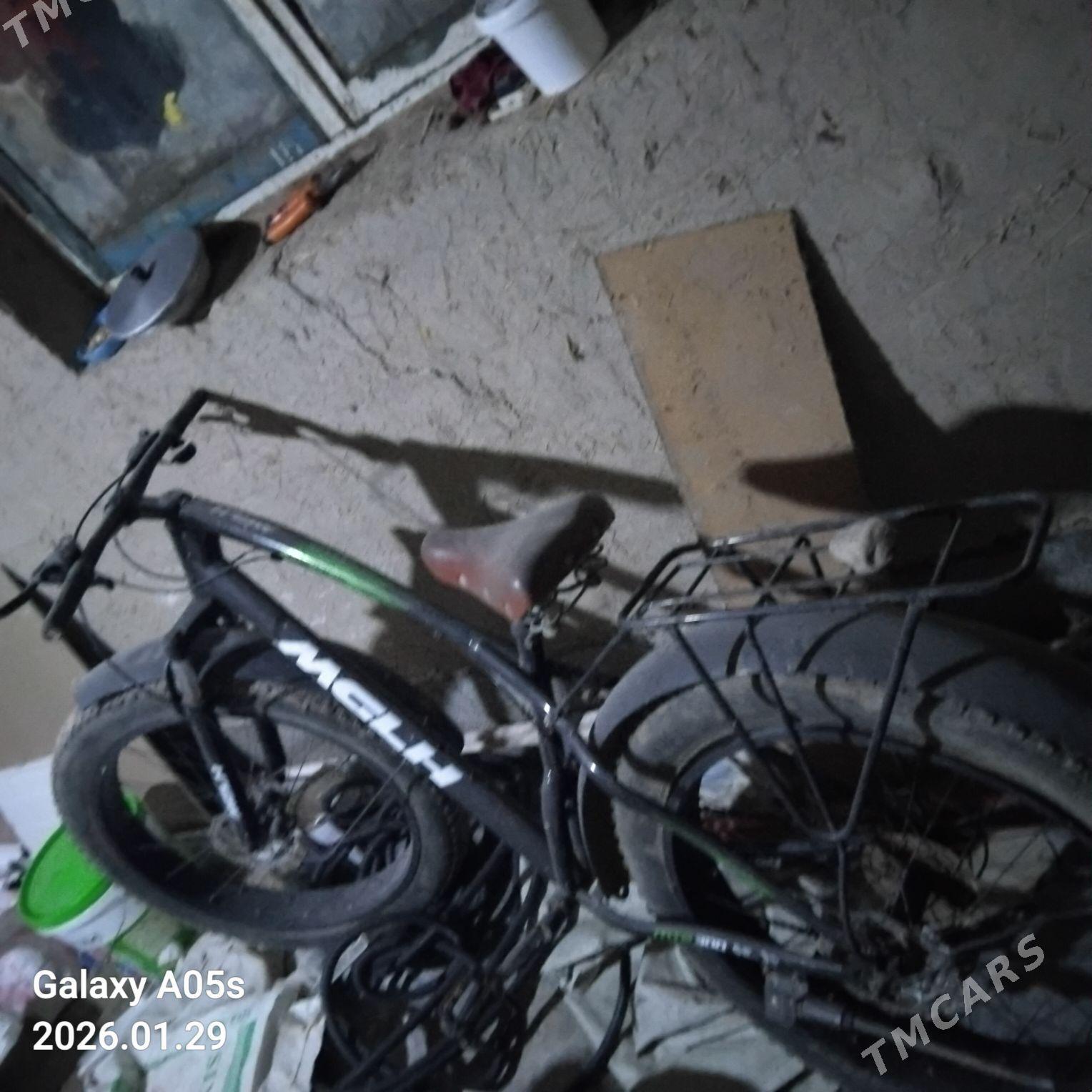 welesapet - Köneürgenç - img 1