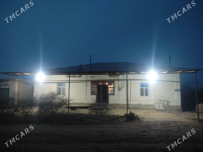 jay - Дашогуз - img 1