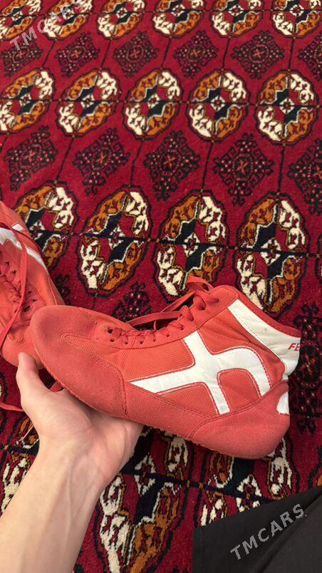 Ferro borcovka - Мир 1 - img 1