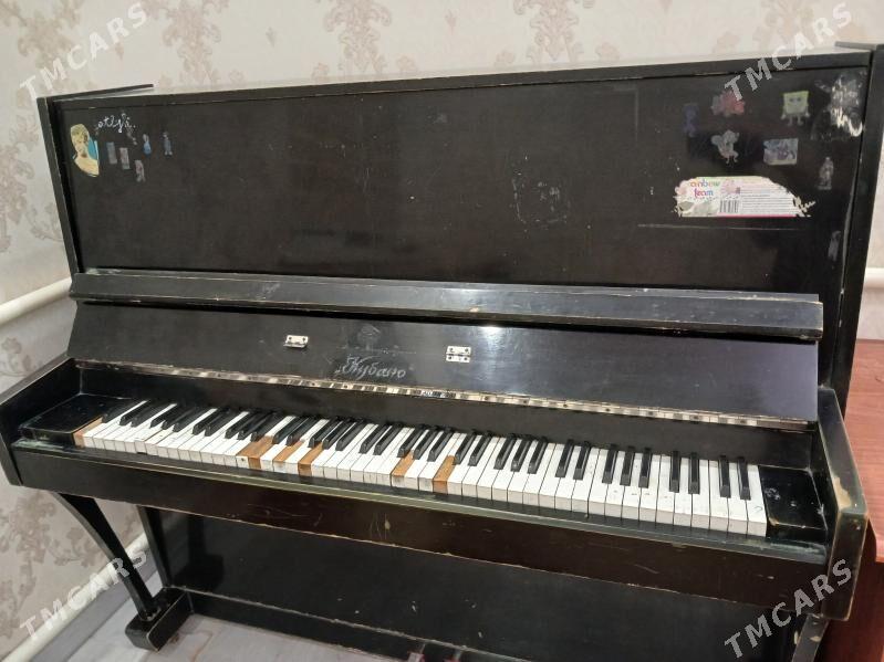 Pianina - Чарджоу - img 1