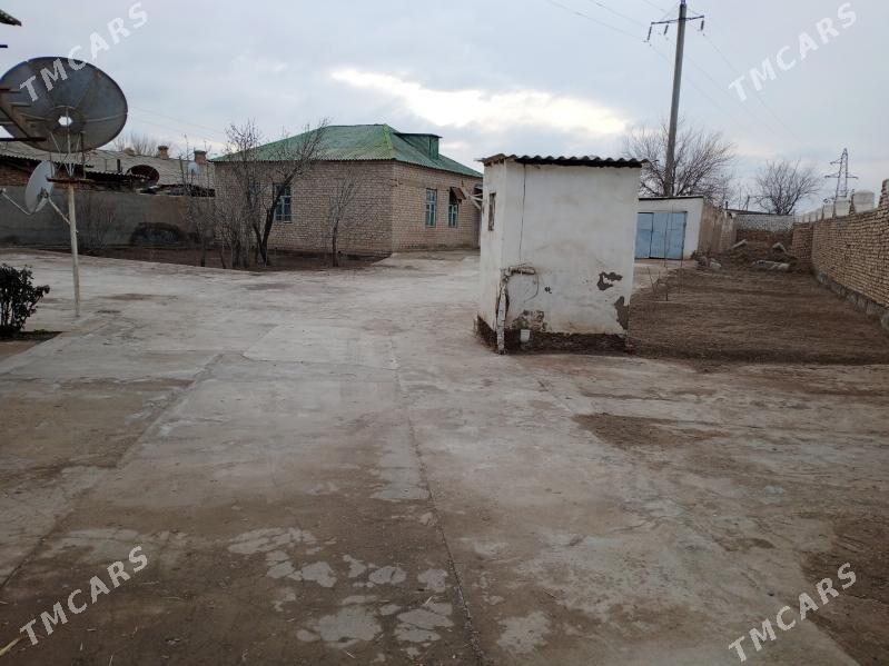 jaý 16 sotok - Baýramaly - img 1