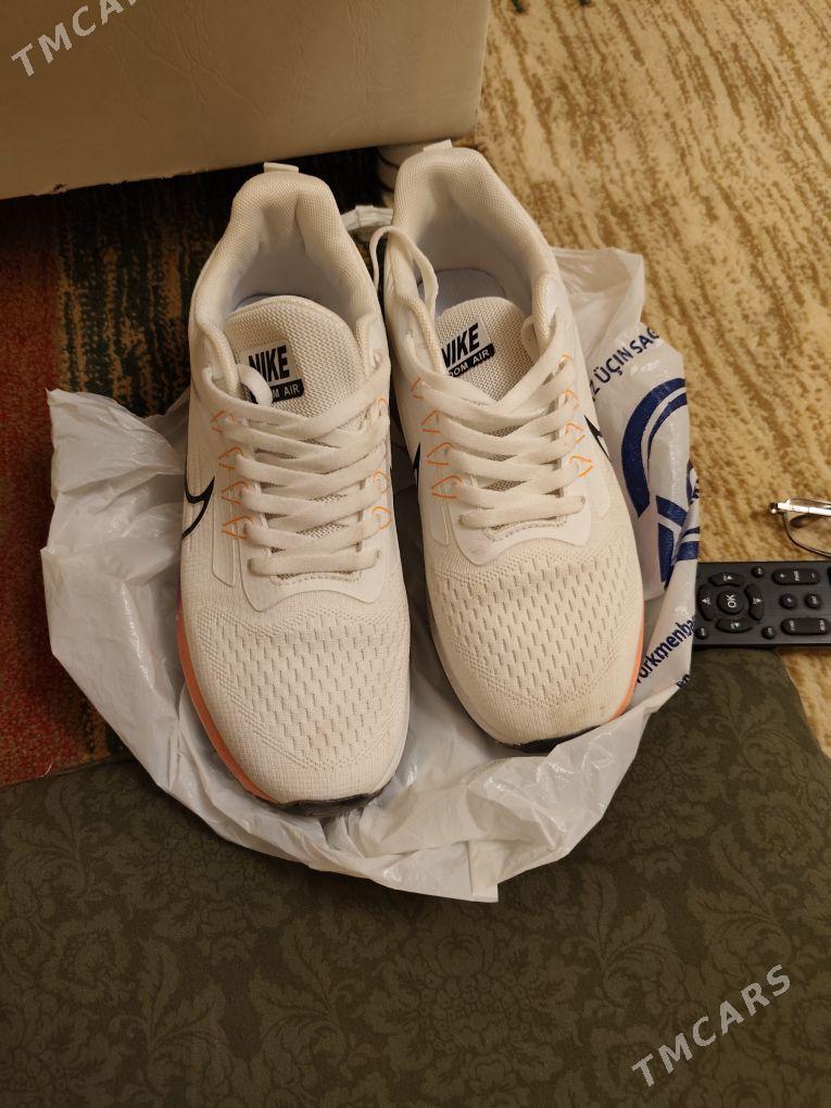 krasowka tazeje - Туркменбаши - img 1