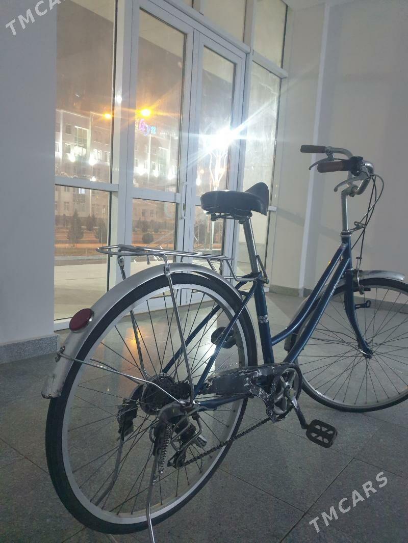 tigir - Arkadag - img 1