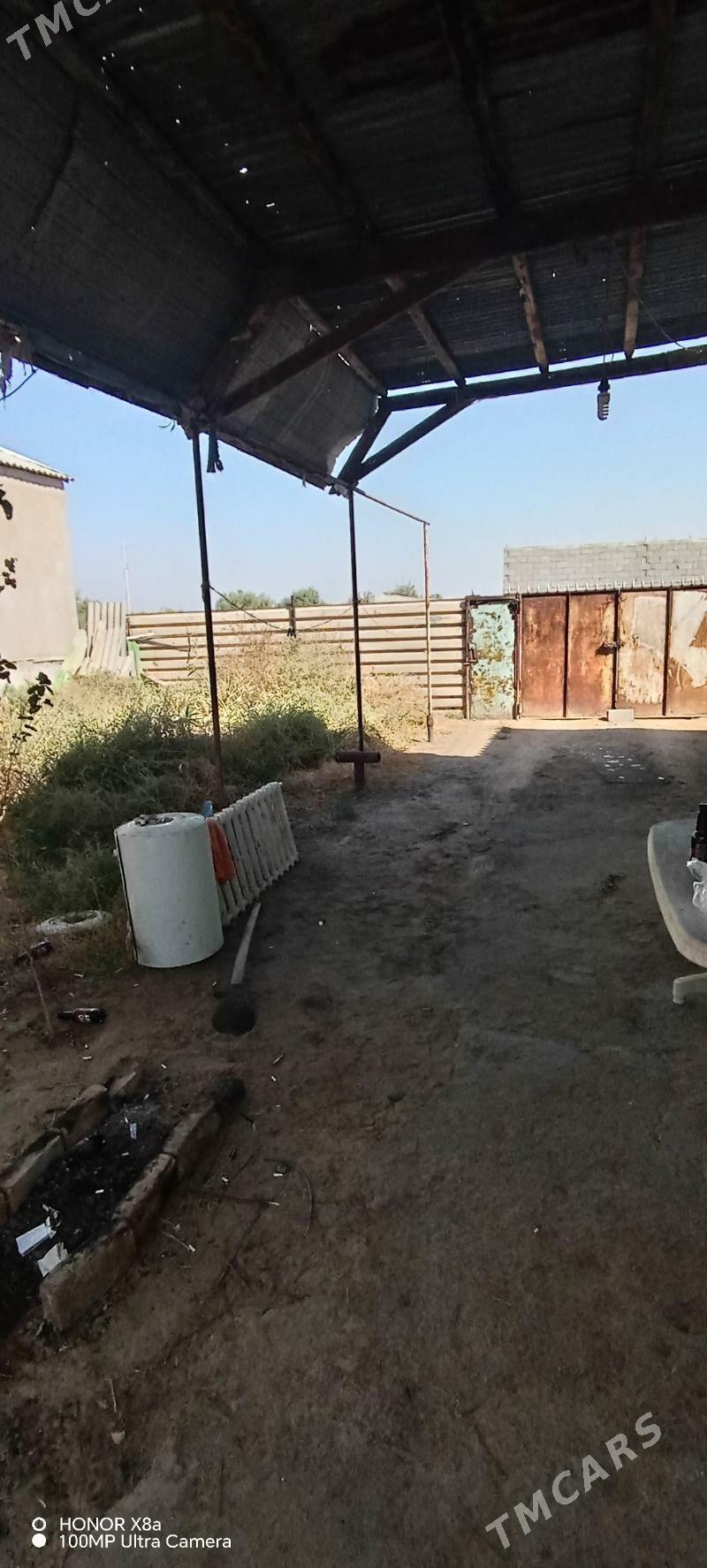 Anew Geolog Daca/Аннау - Анев - img 1