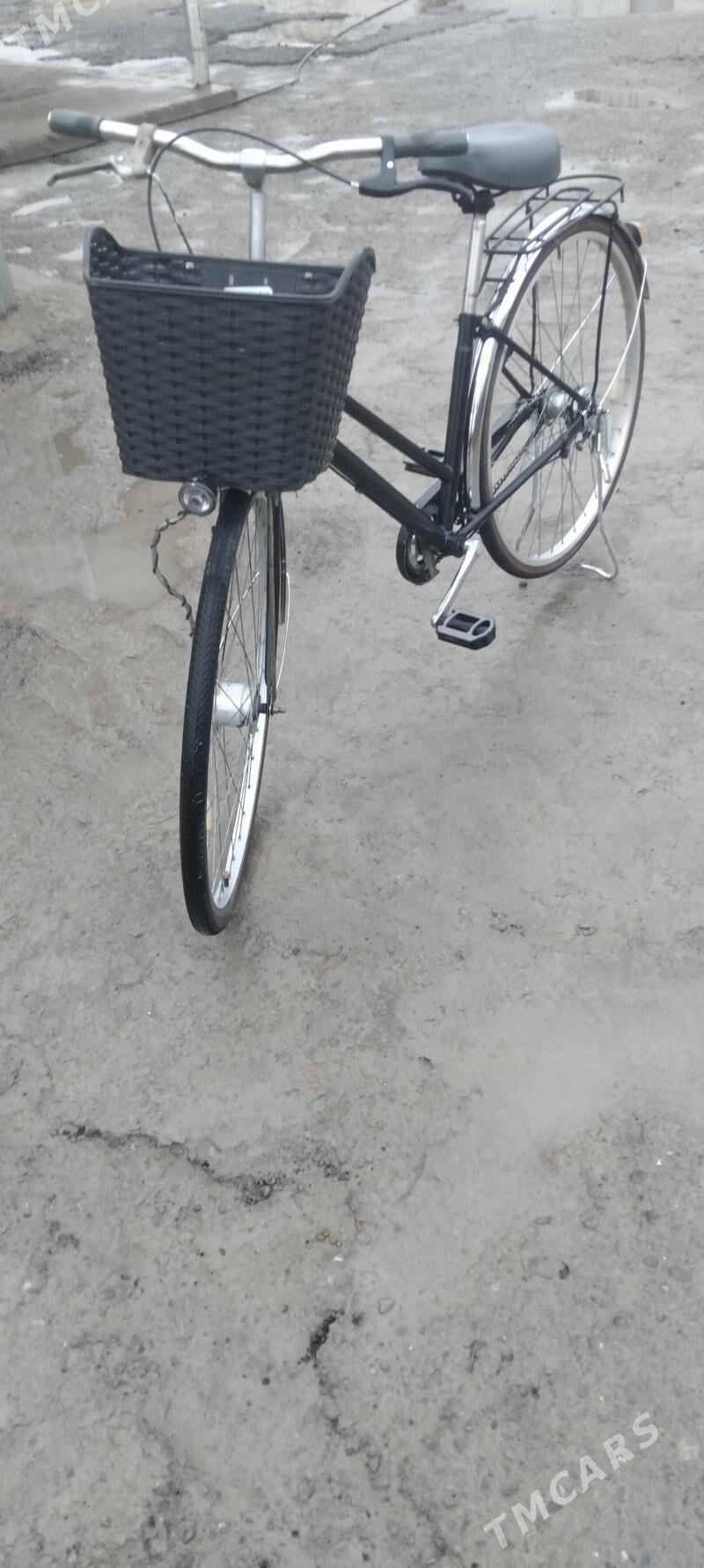 tigir - Гёкдепе - img 1