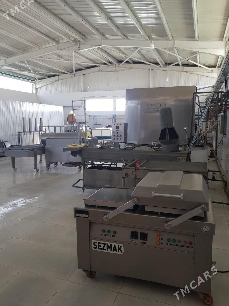 Süýdi gaýtadan işleýan karhana - Änew - img 1