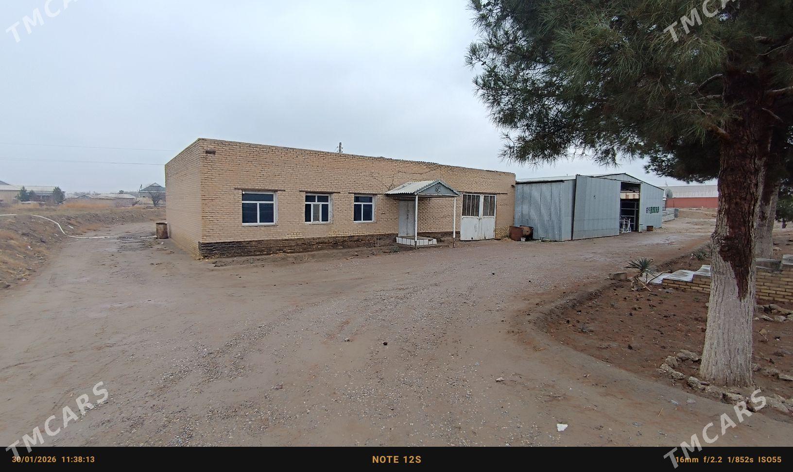 Arenda magazyn - Sakarçäge - img 1