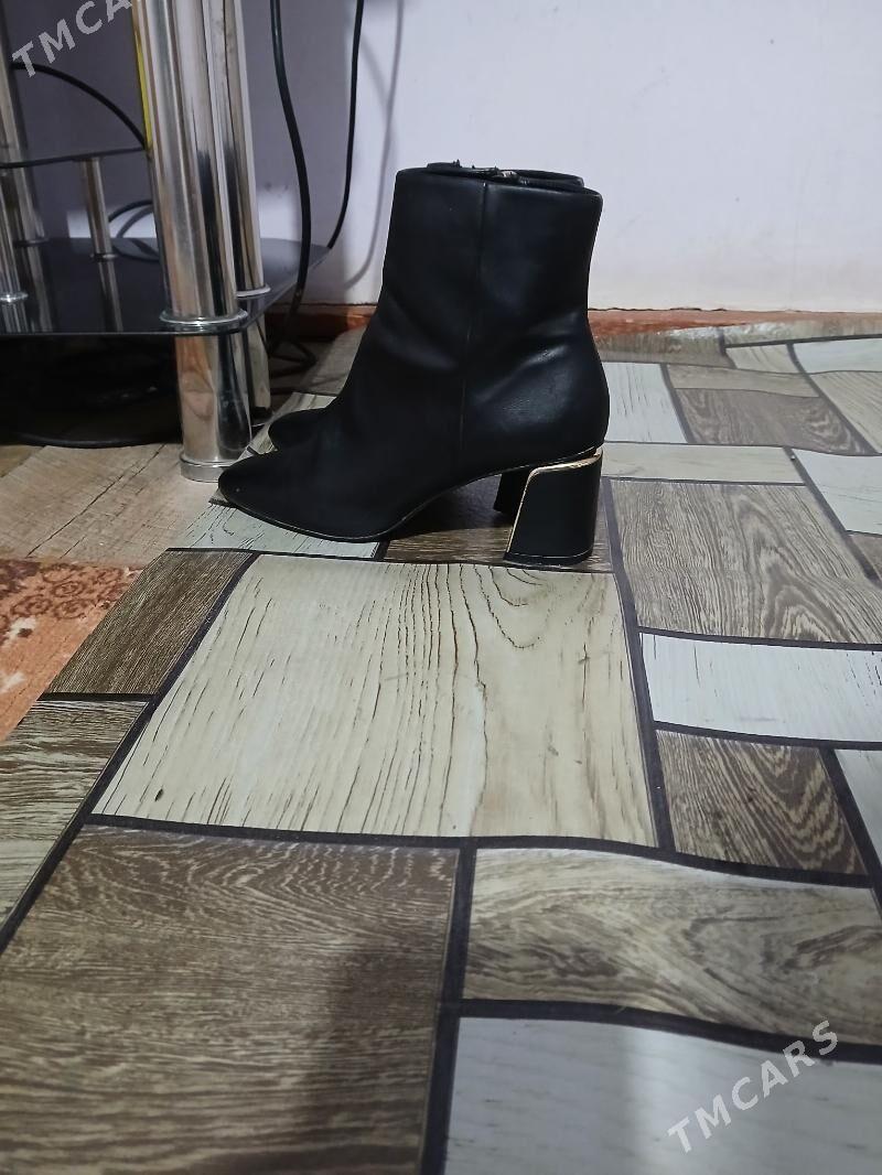 adik - Daşoguz - img 1