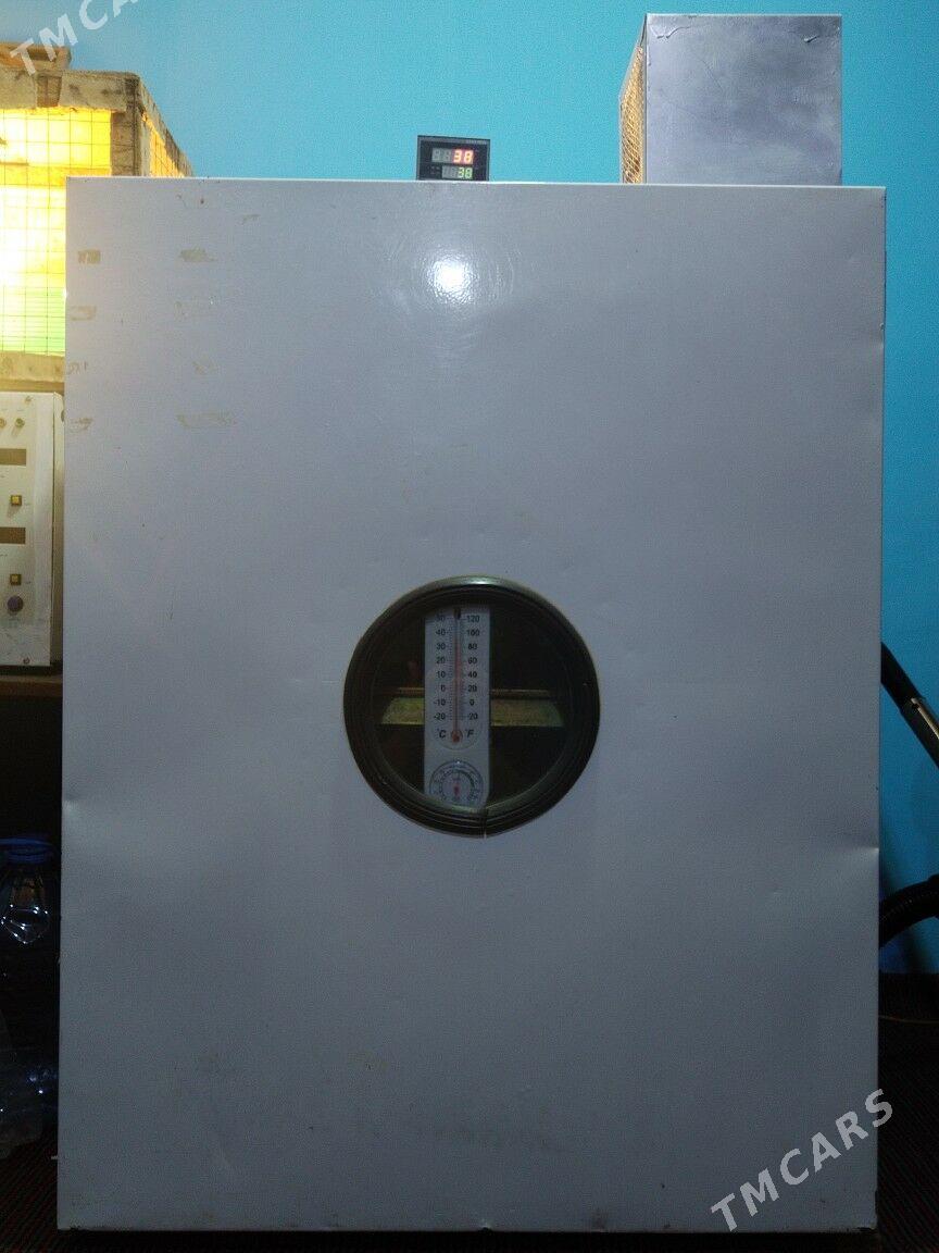 Инкубатор Б/У - Mary - img 1