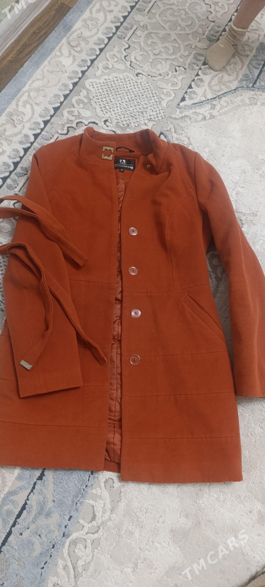 Palto - Büzmeýin - img 1