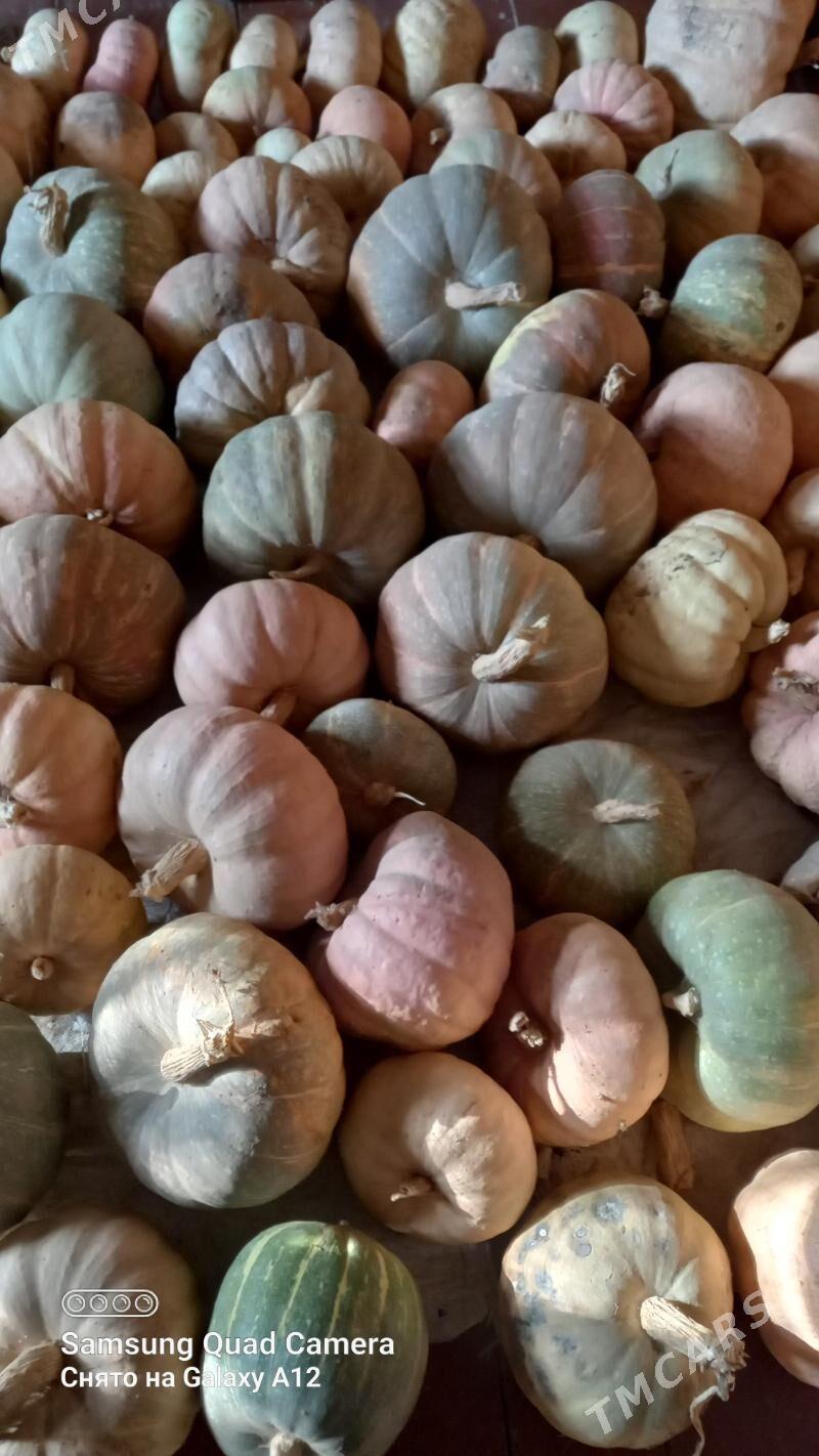 Kädi - Гороглы (Тагта) - img 1