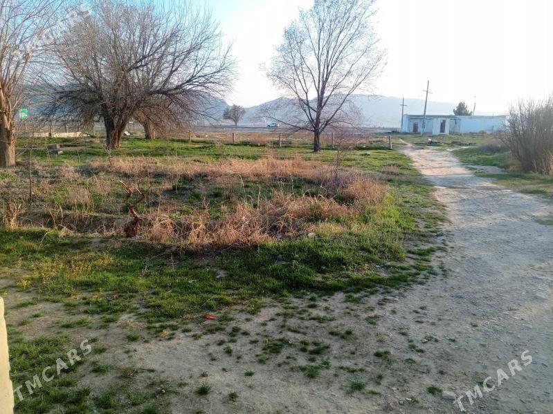 Mellek ýer - Ак-Бугдайский этрап - img 1