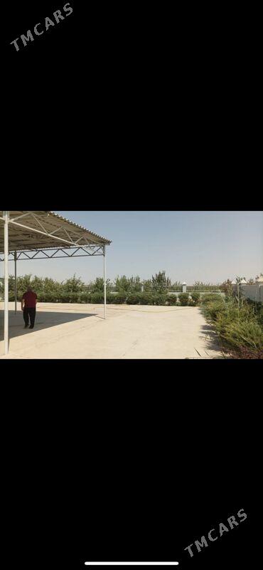 Arçman hususy önümçilik - Bäherden - img 1