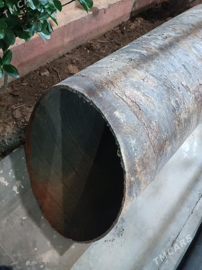 Titan - Анев - img 1